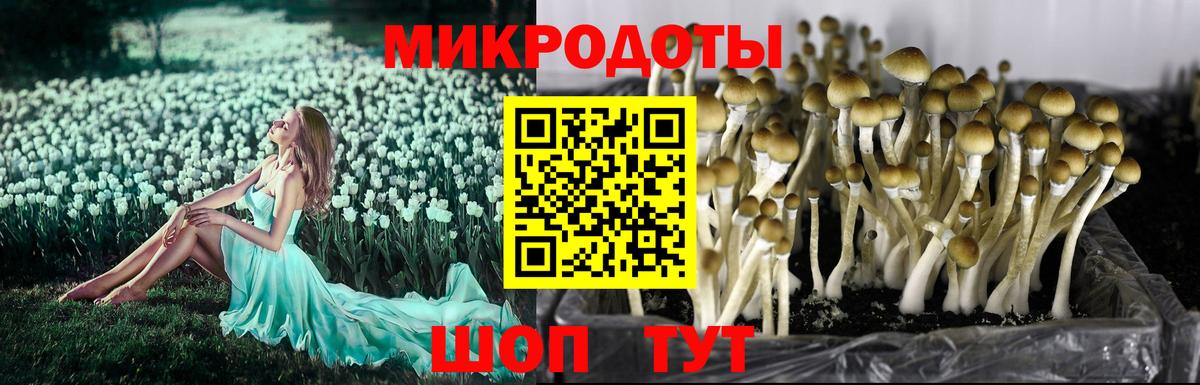 Галлюциногенные грибы мухоморы  Вход с VPN  Галлюциногенные грибы ЛСД  Избербаш 